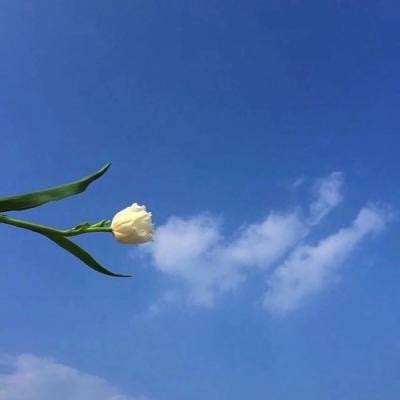 乐鱼体育官网App相关推荐1
